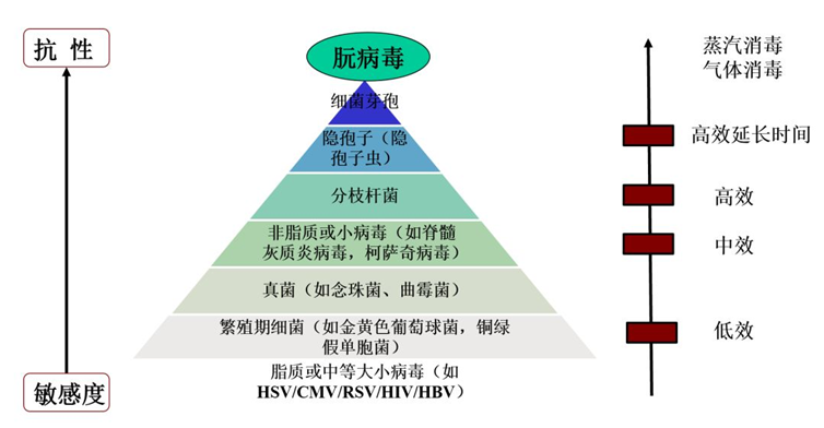 消毒服务小知识：消毒液是消灭细菌还是消灭病毒？