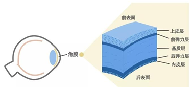 小心，消毒服务专家提醒正确使用紫外线灯消毒，谨防“电光性眼炎”！
