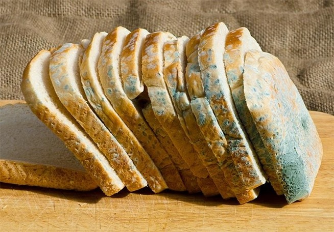 食品生产中什么污染最常见，消毒服务机器人在食品生产中的运用