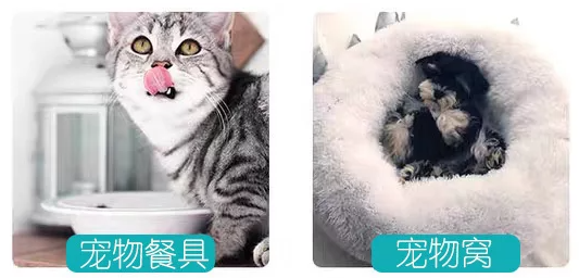 宠物美容店的环境消毒服务，为宠物创造一个安全卫生的美容环境