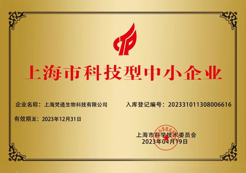 03-科技型中小企业.png