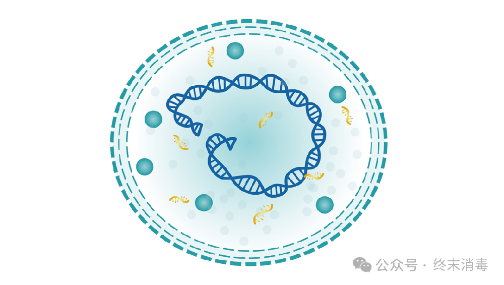 世界问题：生物实验室支原体污染