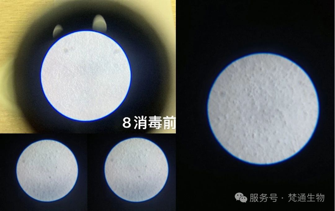 微信图片_20241216143127.jpg