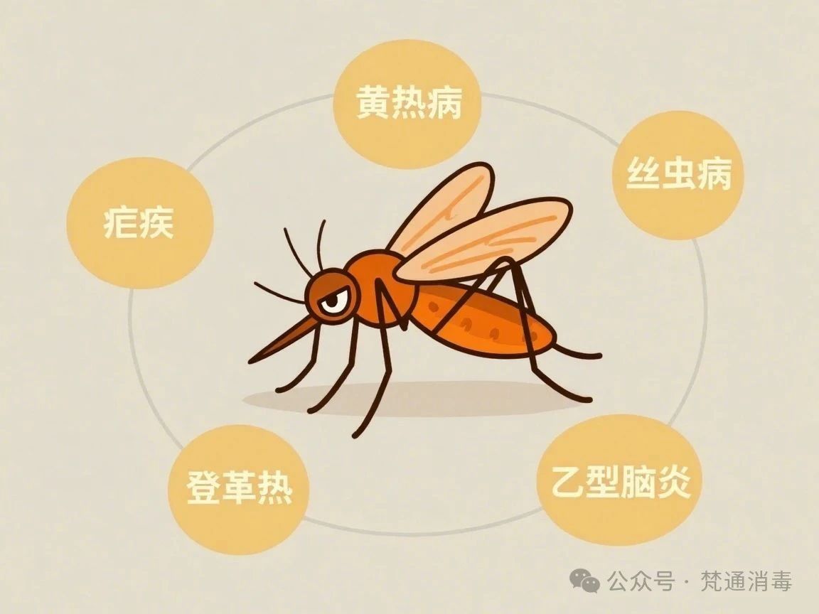 微信图片_20250626093953.jpg